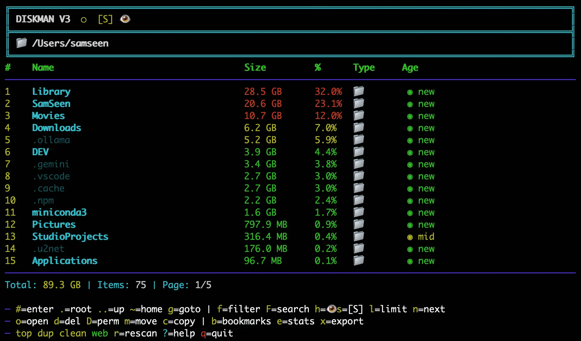 DiskMan CLI Interface